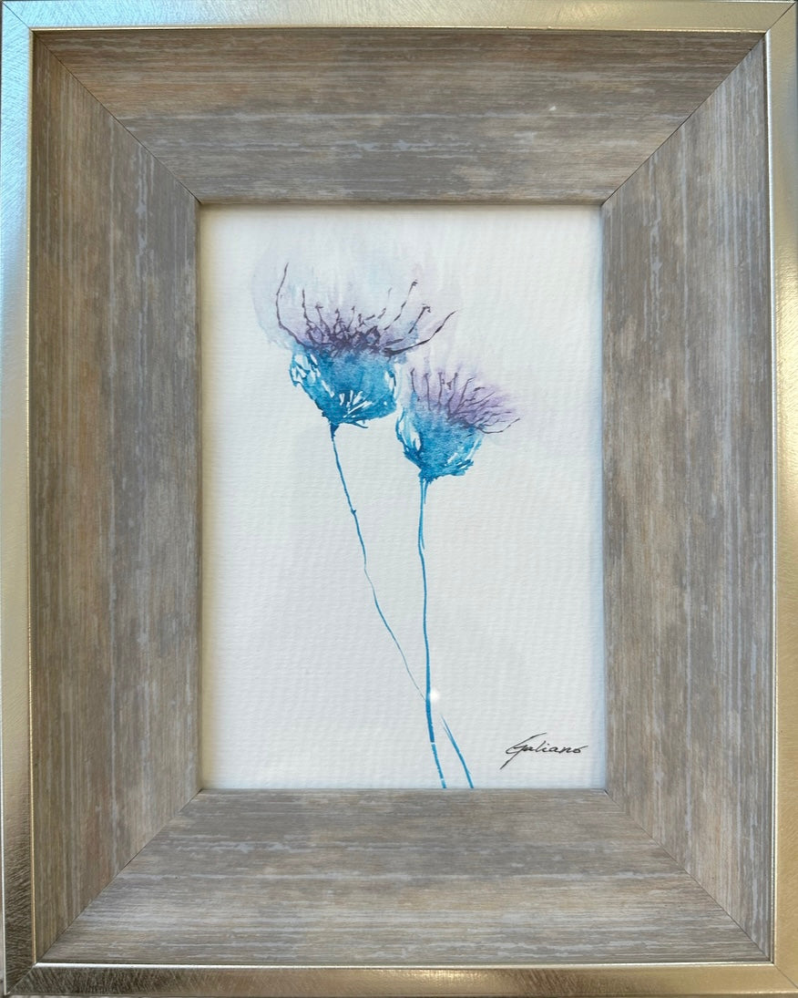 Aster - Galiano Art Gallery